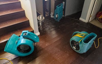 Most Common Reasons For Water Damage and Cleanup Help