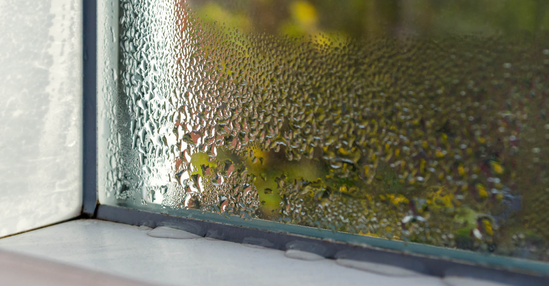 windows-weather-restoration